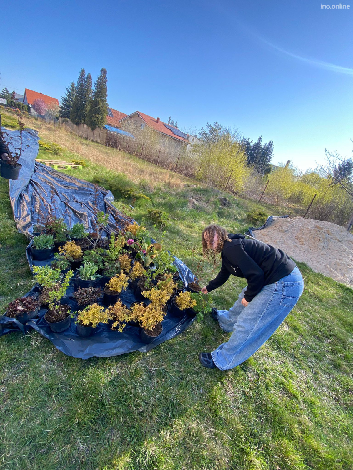 6b9887ea-b3dd-4510-b418-c0f279f5fc5a