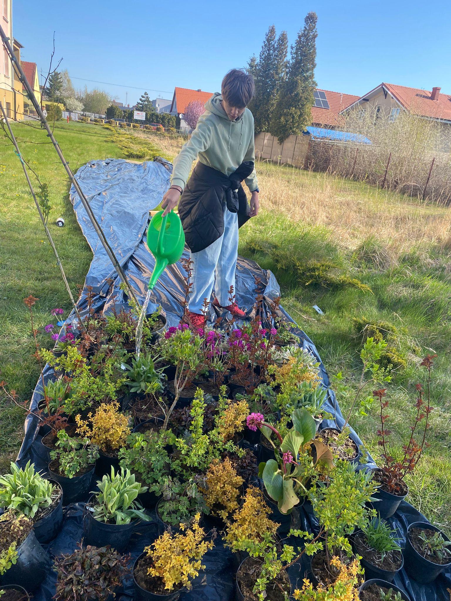 ac76506a-bb1a-4ecc-87ed-cbe021897b05