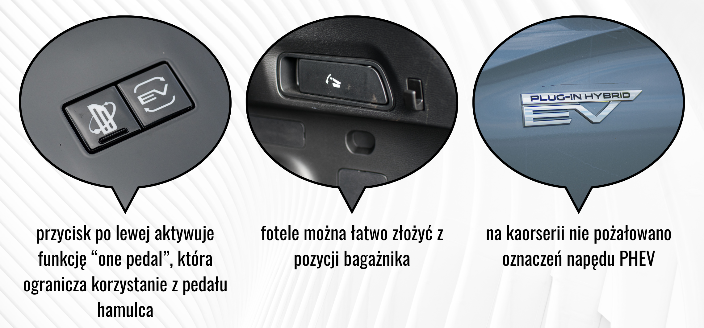 Kopia – OKIENKA NIEZLEAUTA (2)