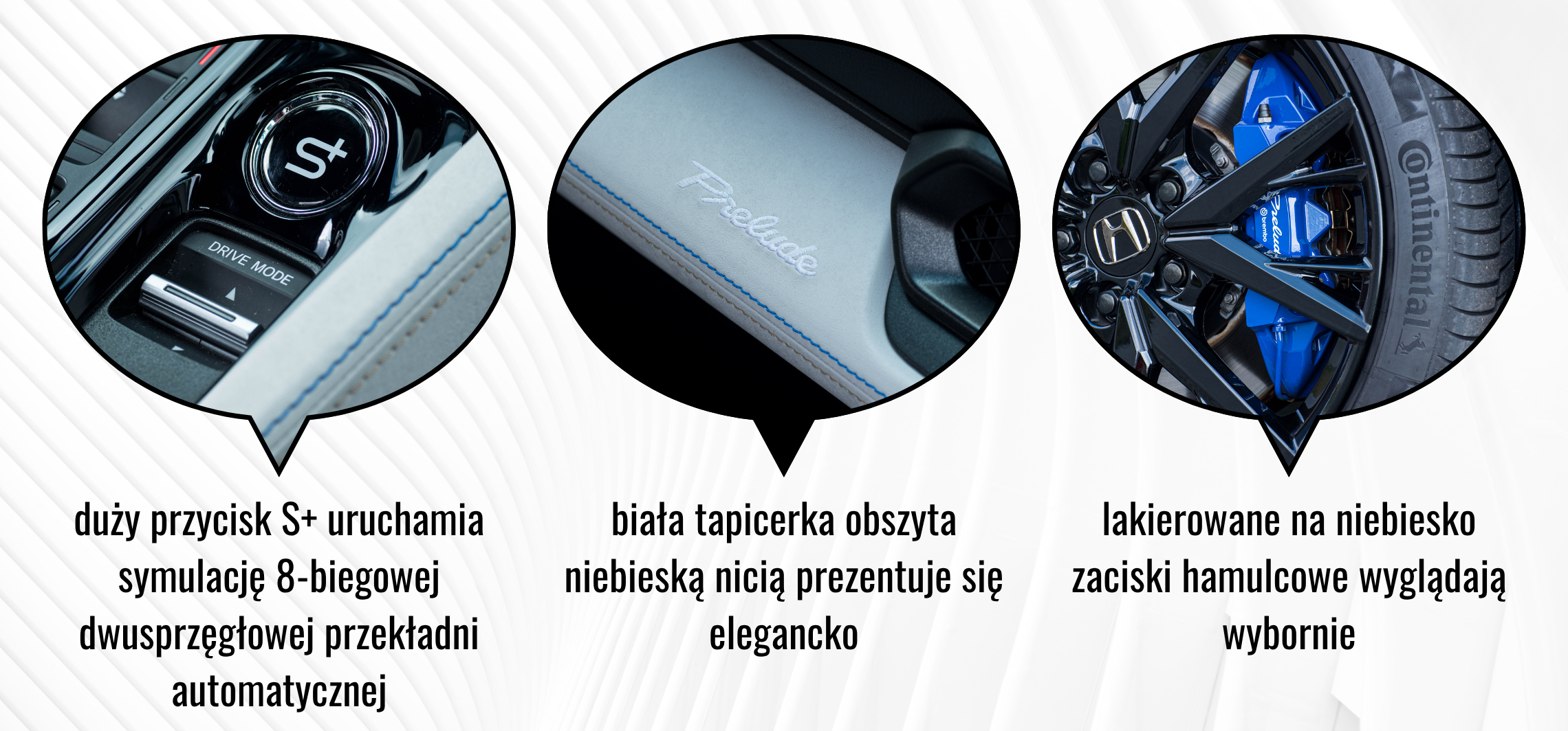 Kopia OKIENKA NIEZLEAUTA (1)