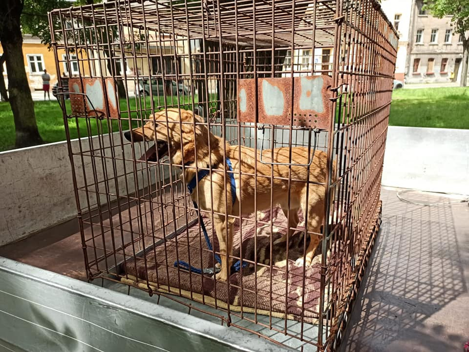 107732065_698792487640060_582823953811368795_n