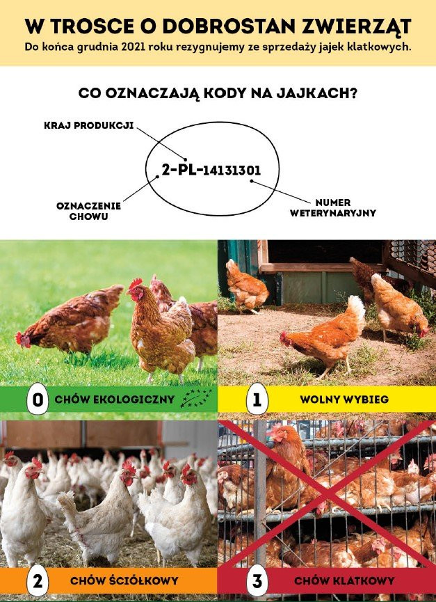 image_processing20210705-24431-w7ttuu