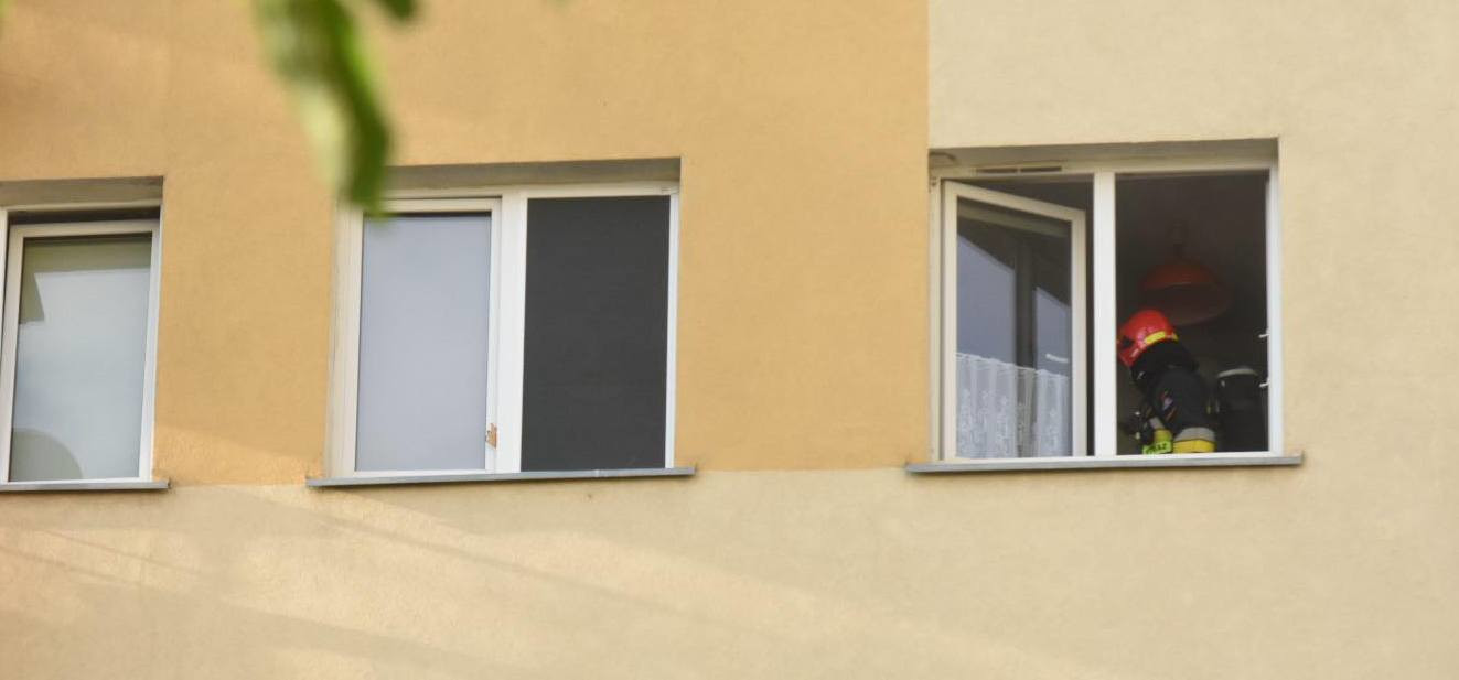 225866196_228746032326987_690825384775777297_n