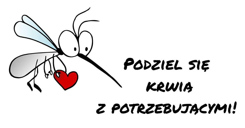 46438372_2068274969904739_9156318620882567168_n