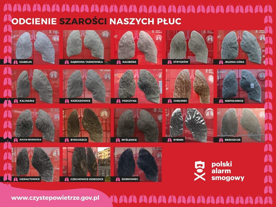 PAS-odcienie-szarosci-pluc-2020