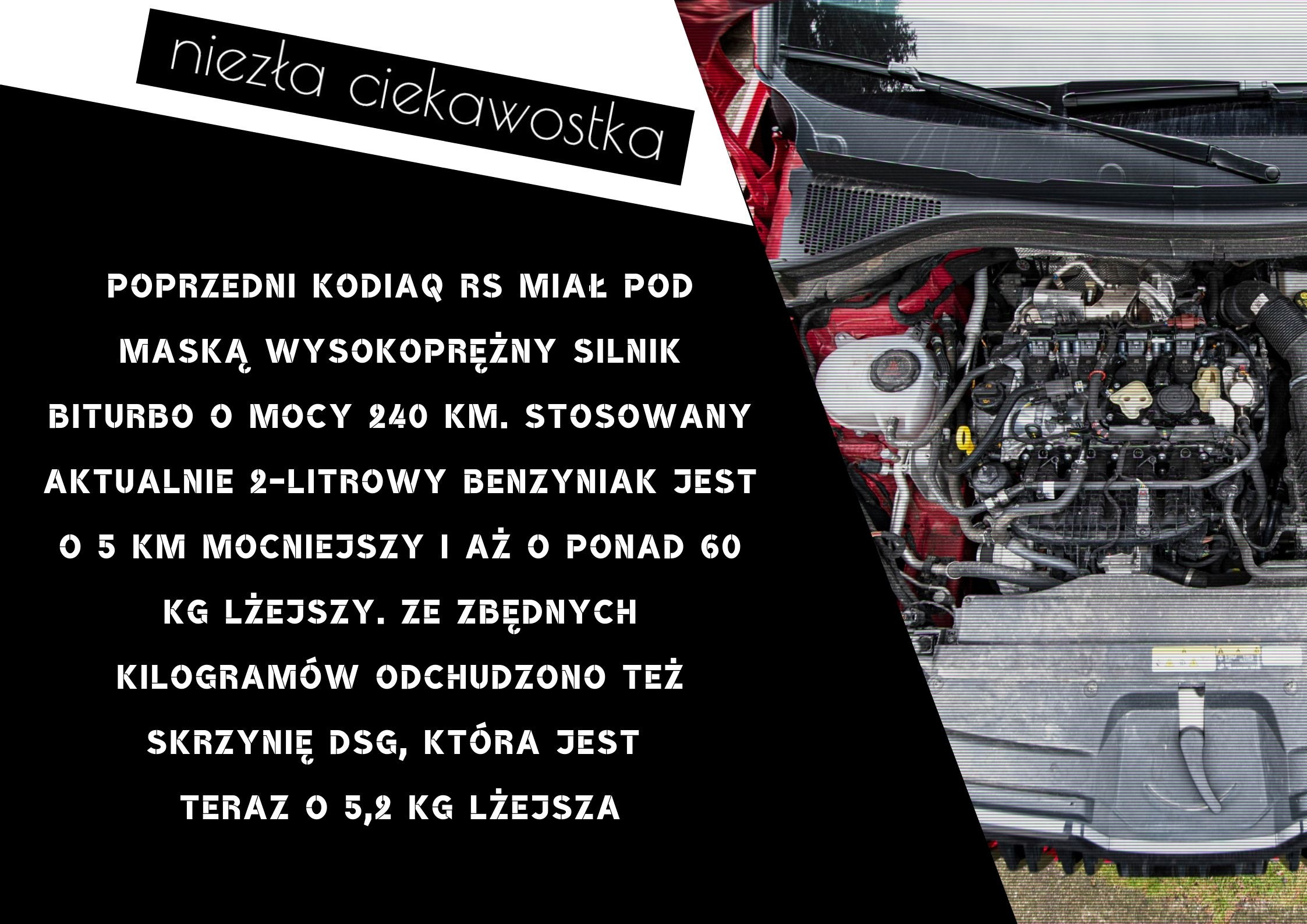 niezla ciekawostka (3)