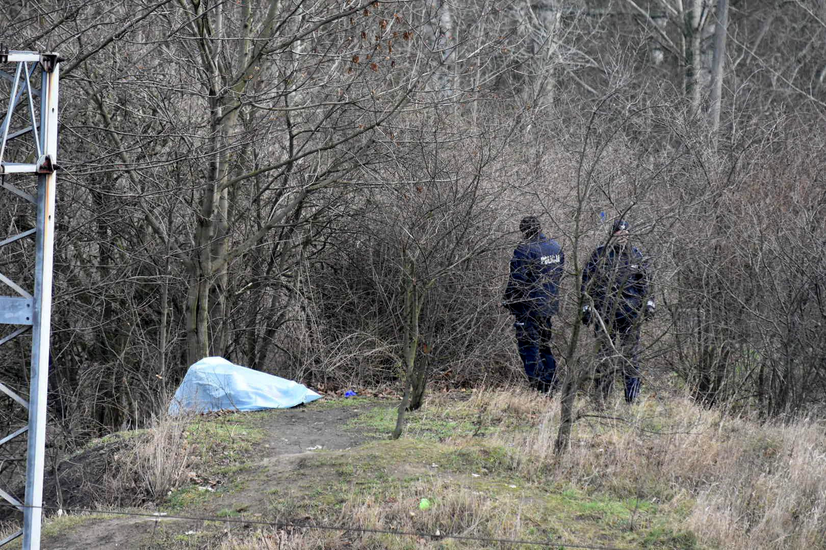 49124873_299796387315079_2261308119659315200_n