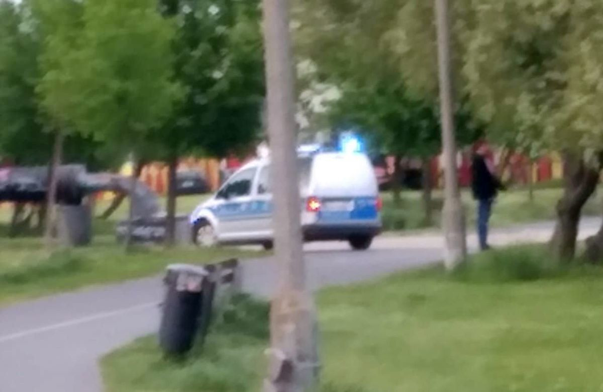 IMG-20220517-W444433