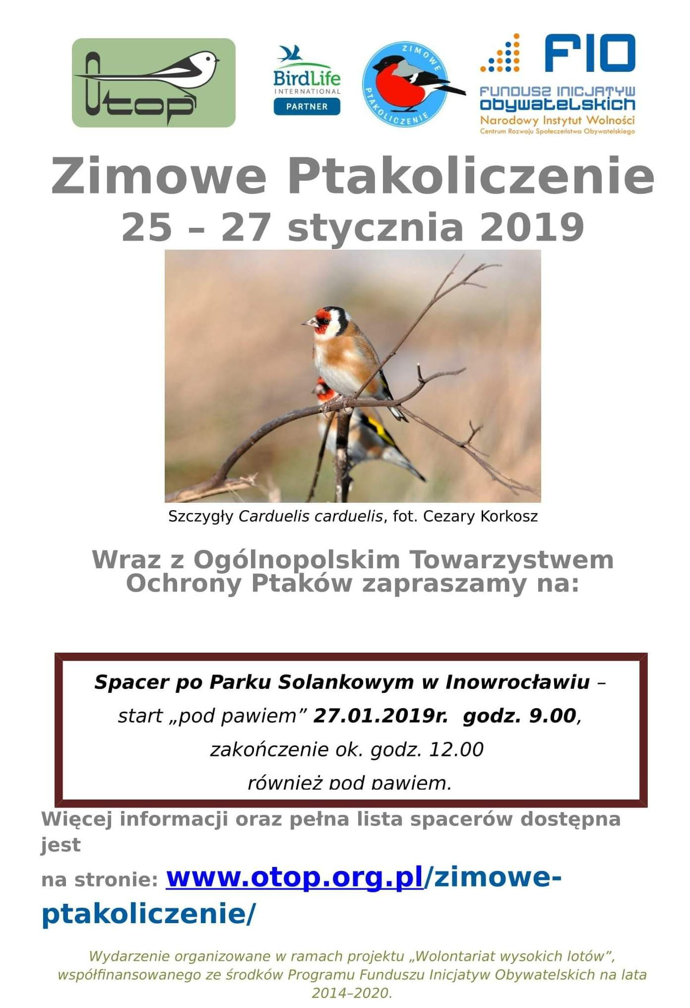 received_376716519563366-001