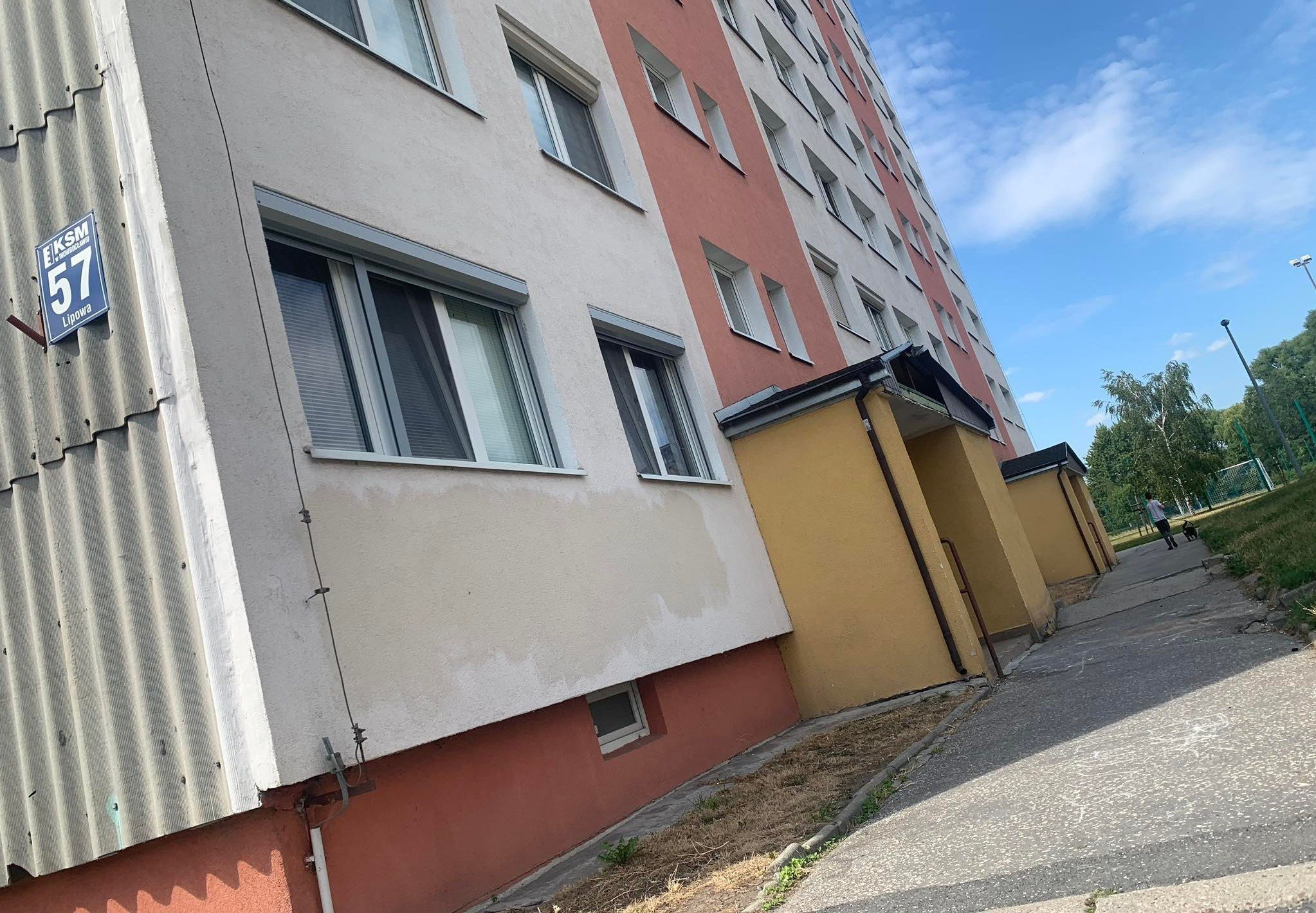 296206587_623055939062608_4225792822268612415_n