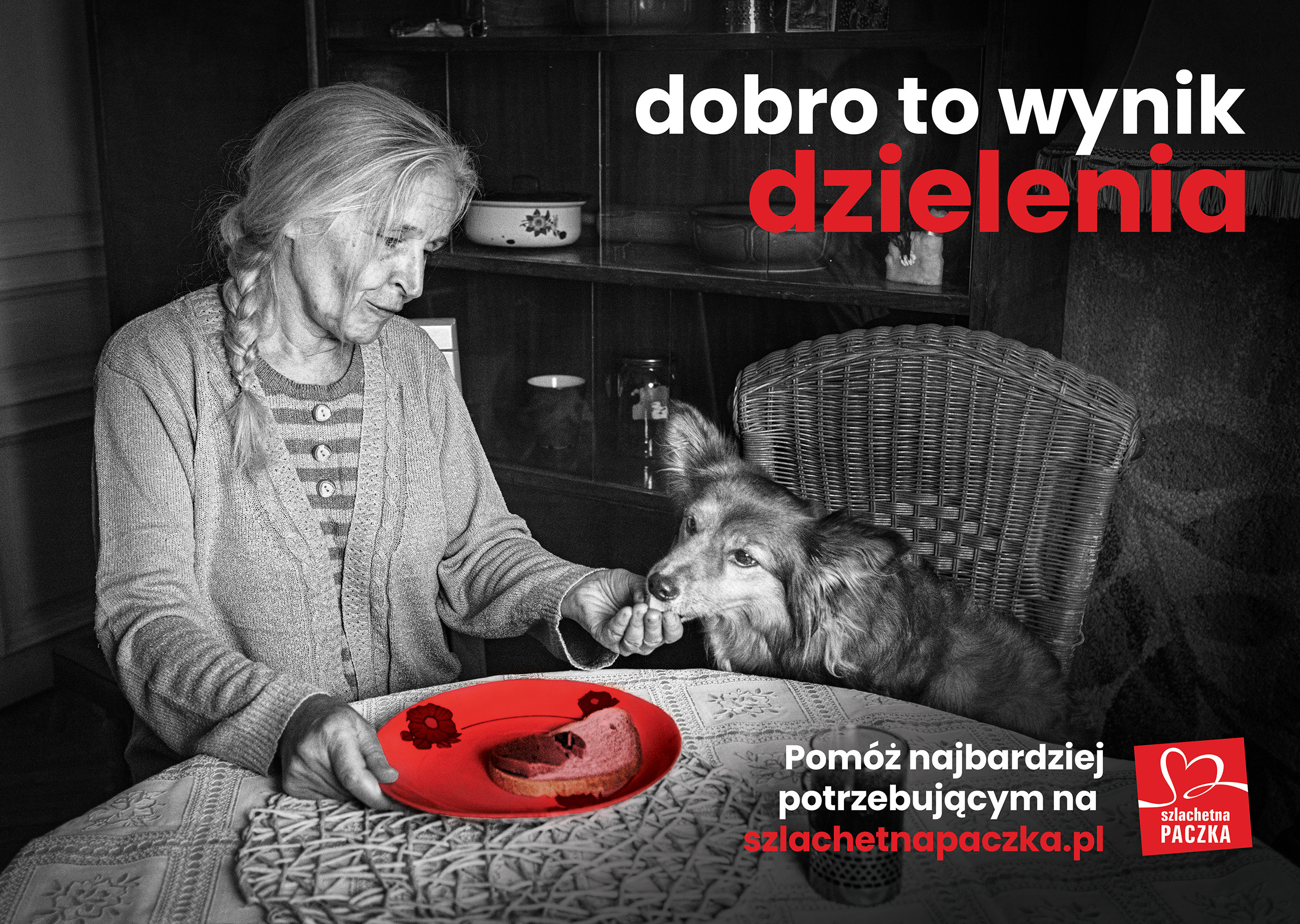 Senior_Otwarcie Bazy Rodzin_SZP_ 2022