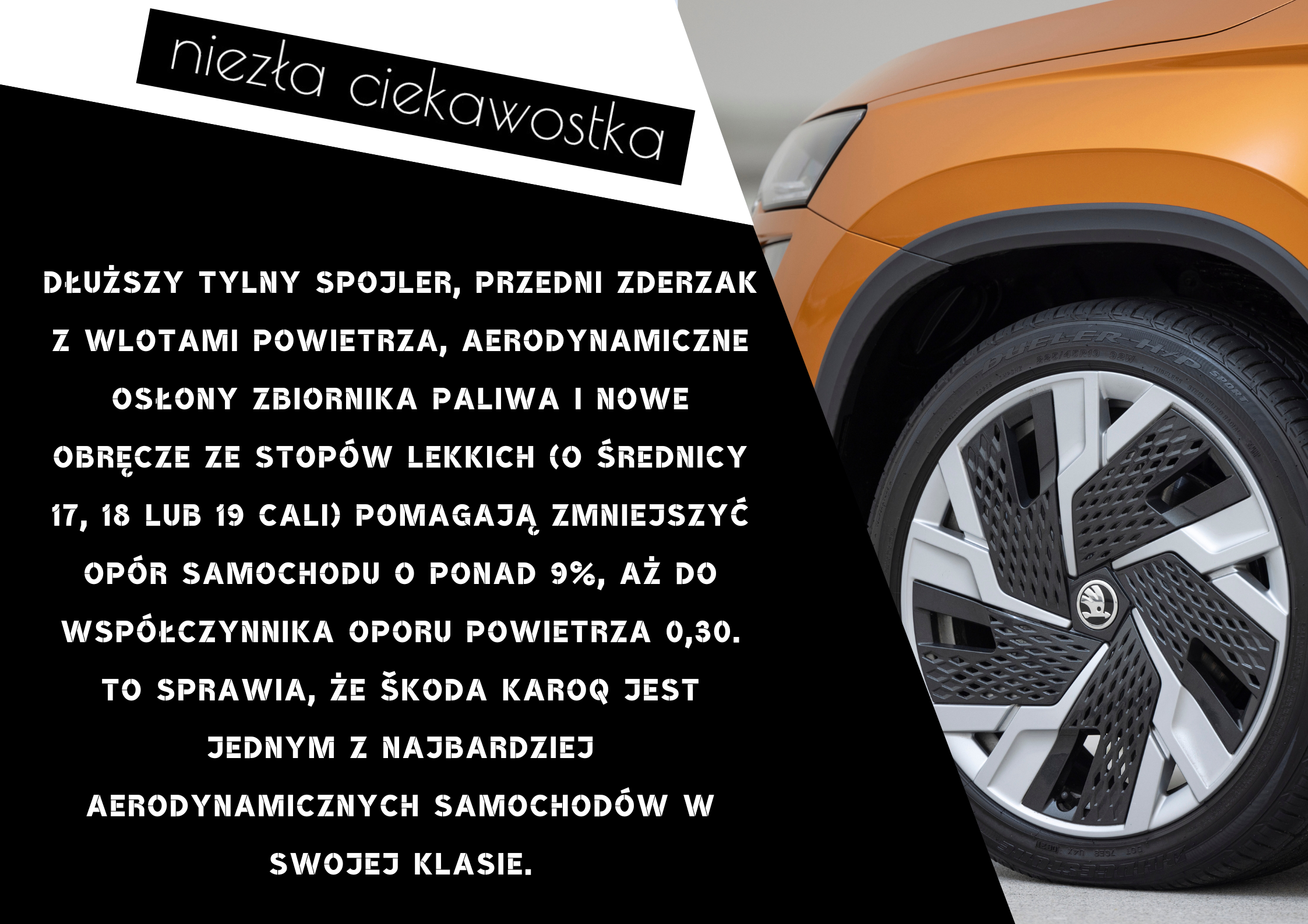 Kopia niezla ciekawostka