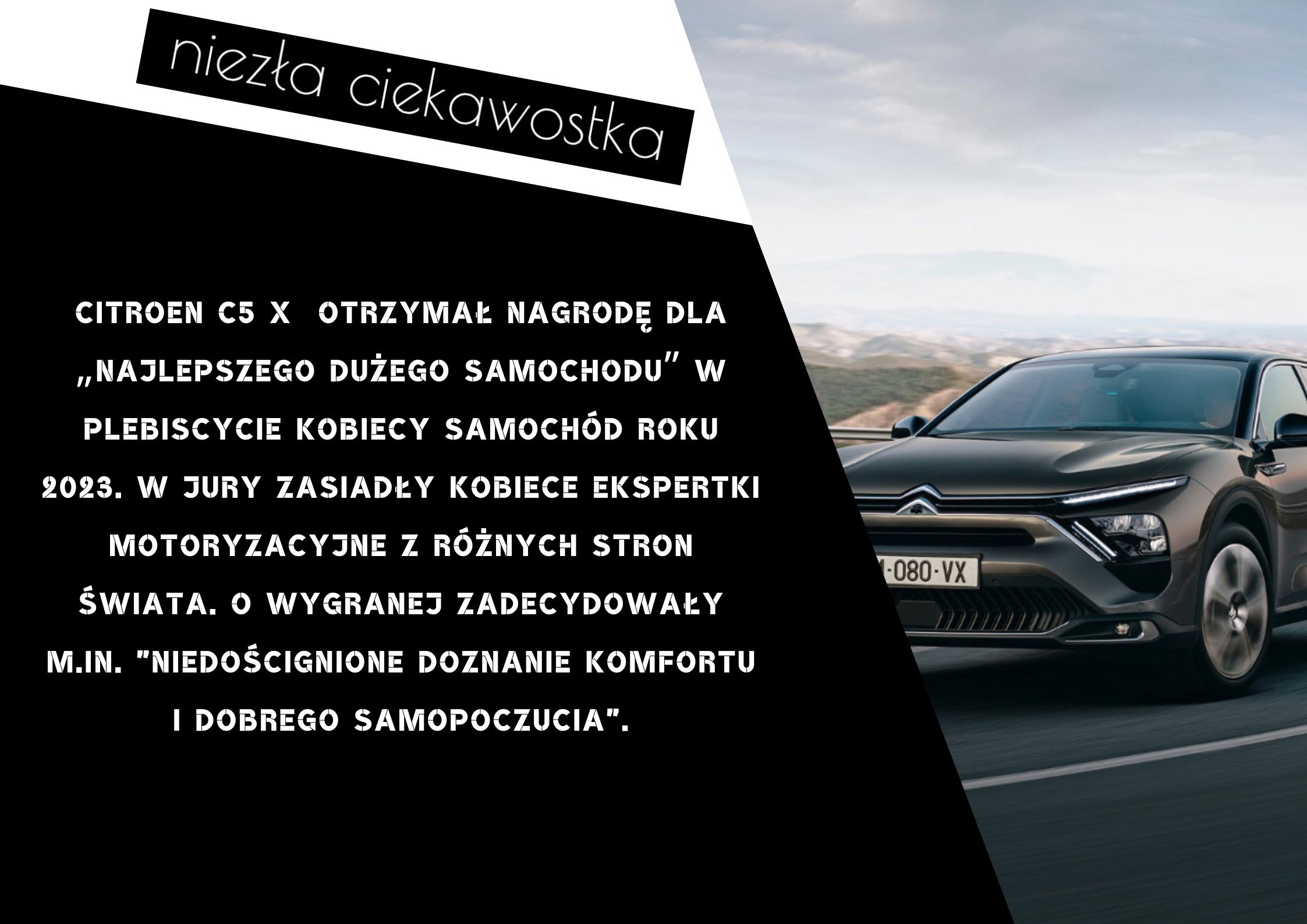 Kopia niezla ciekawostka