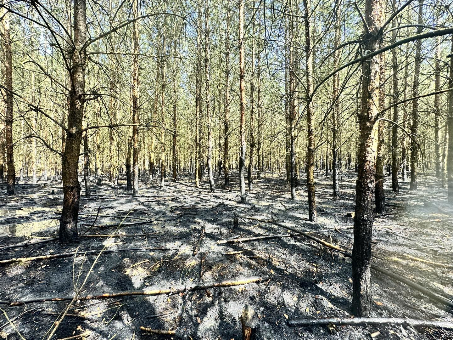 4de4bb41-fcb8-46f0-9a71-b6c8292ecd19