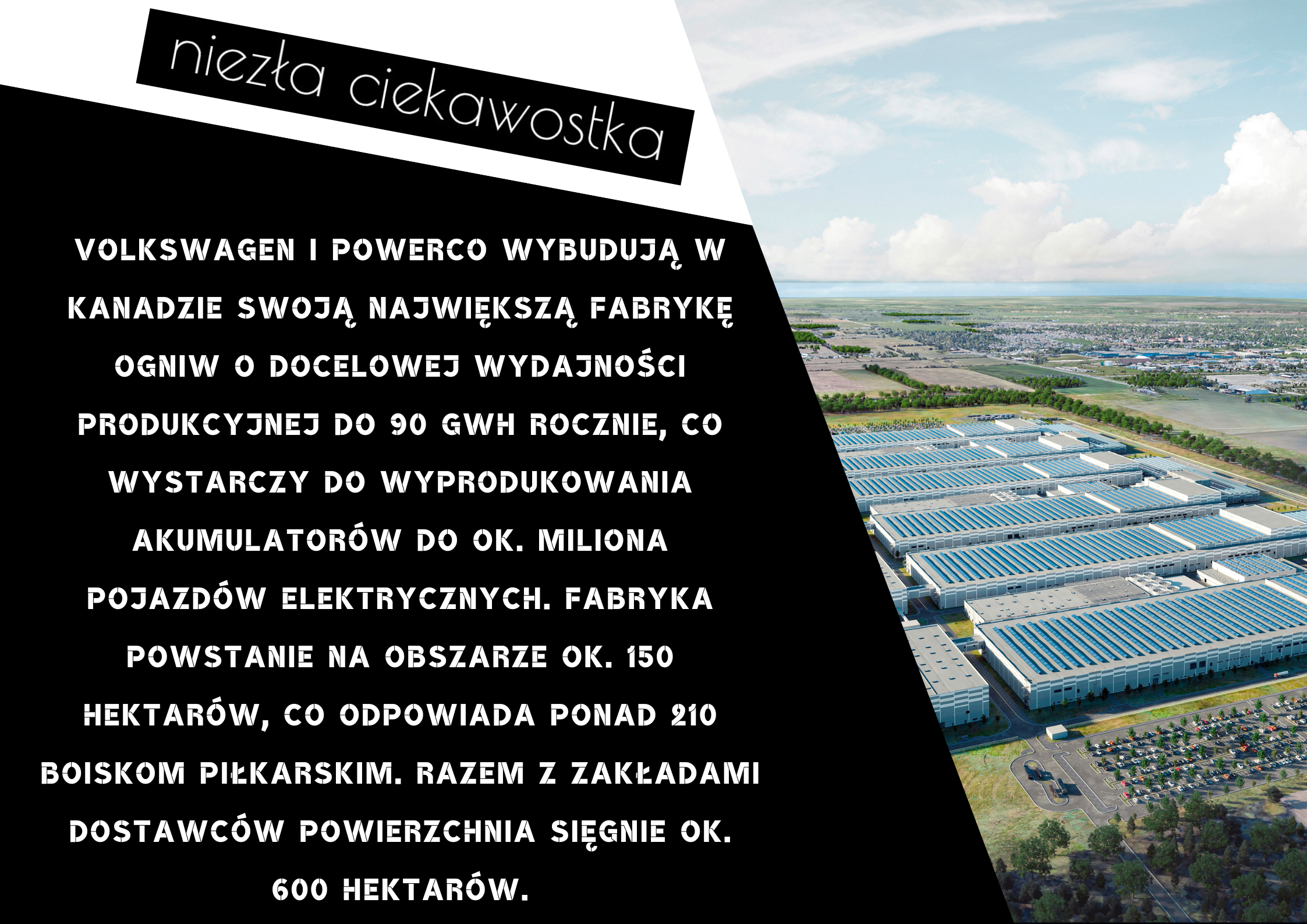 Kopia Kopia niezla ciekawostka