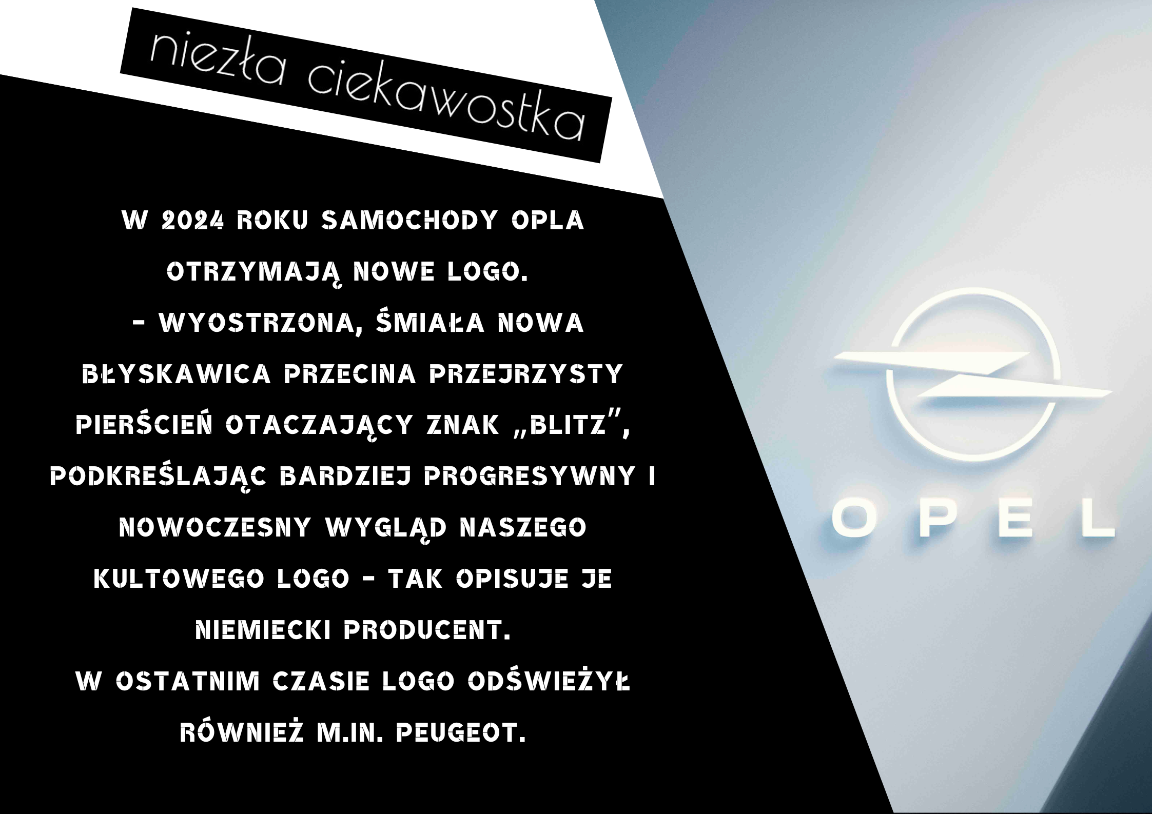 Kopia Kopia niezla ciekawostka