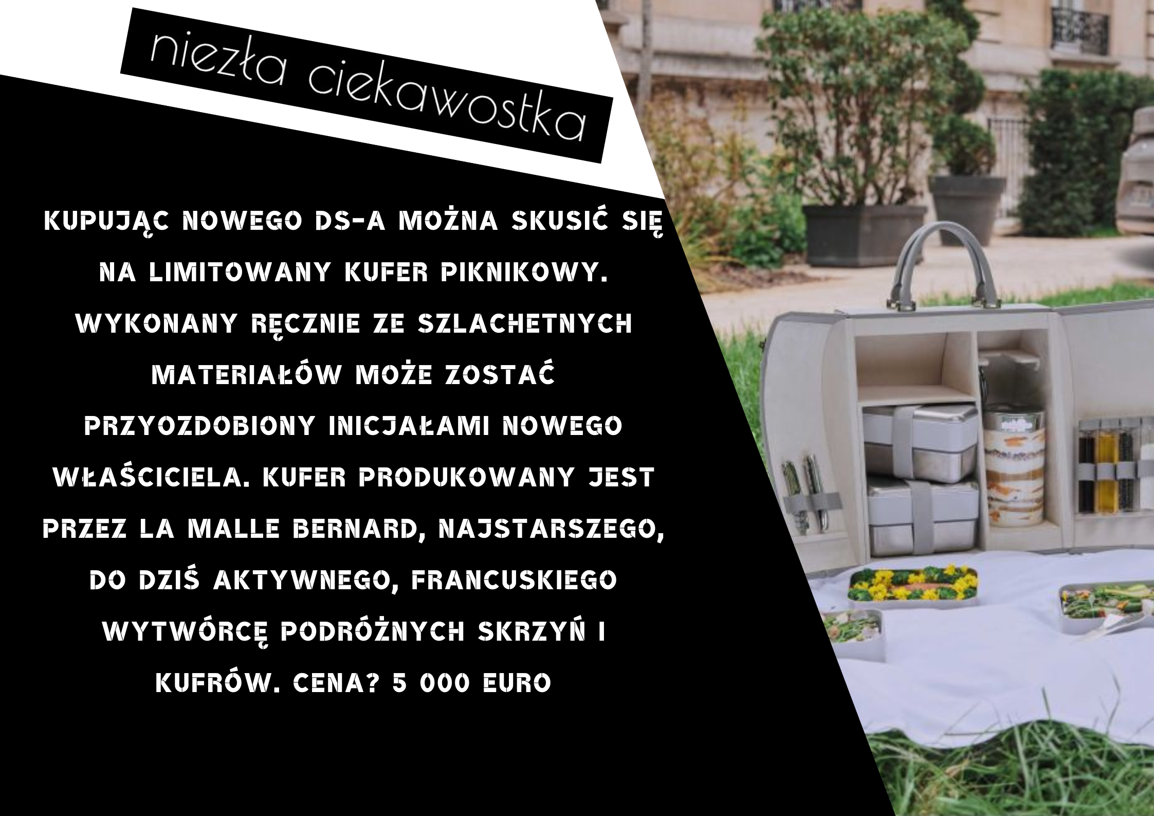 Kopia Kopia niezla ciekawostka (2)