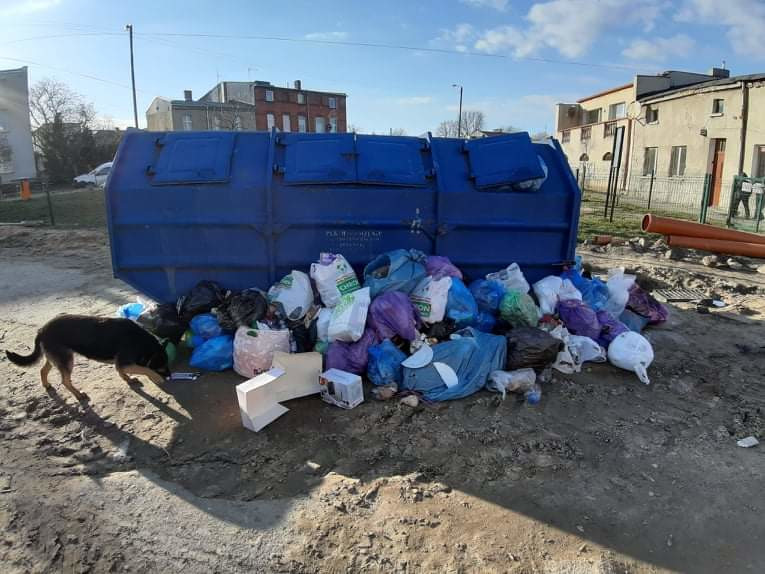 received_650178885433898