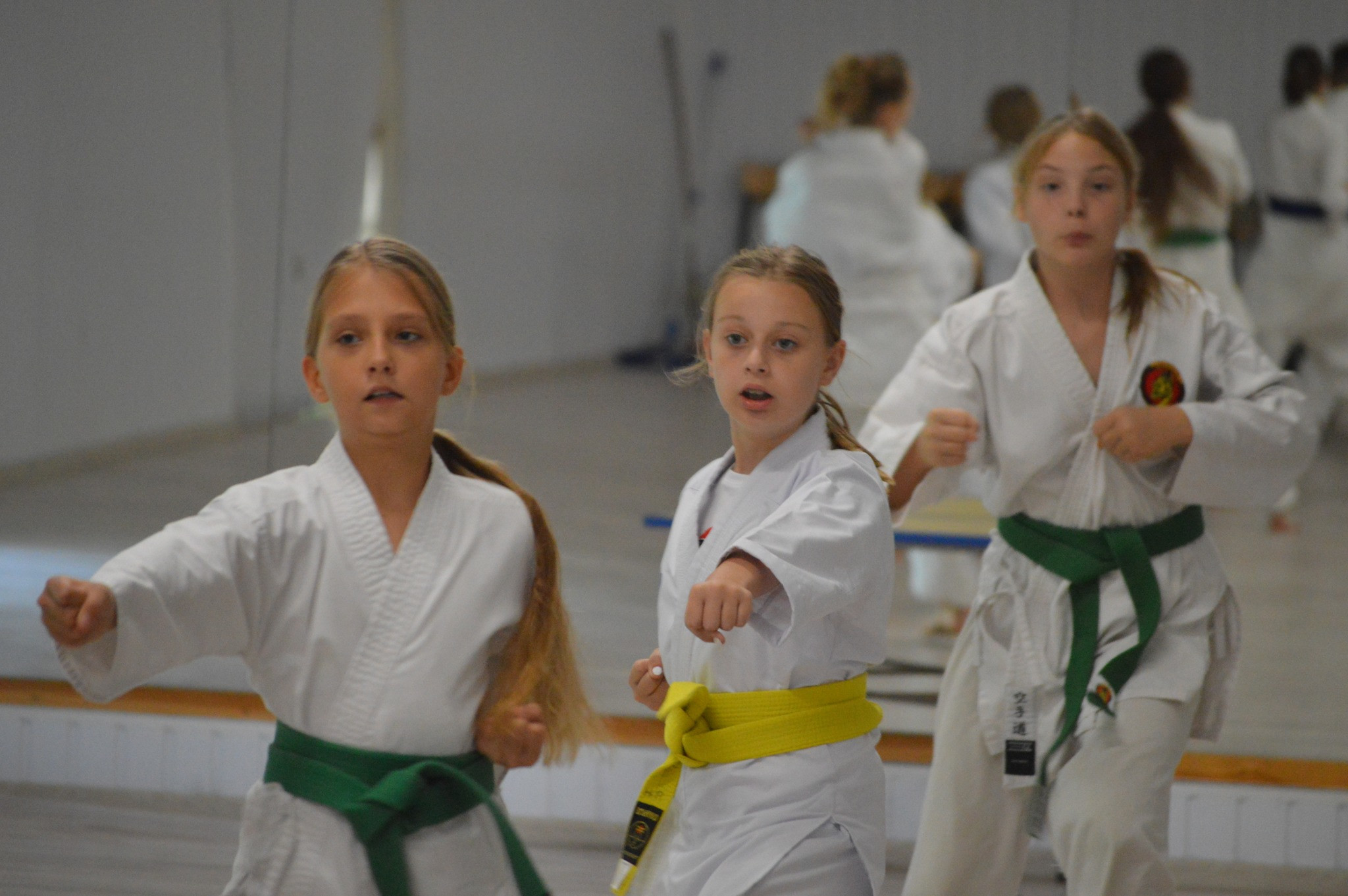 374516355_756279343163733_4910785850285905640_n