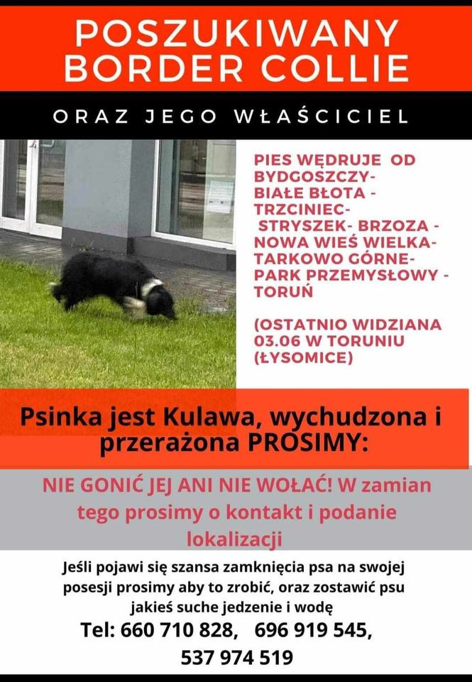 445981376_888043636481567_4021035563375026746_n