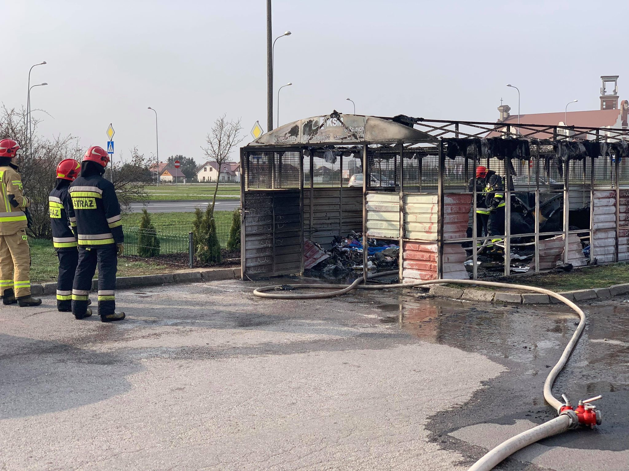 56857741_424301264779463_3750114273179729920_n