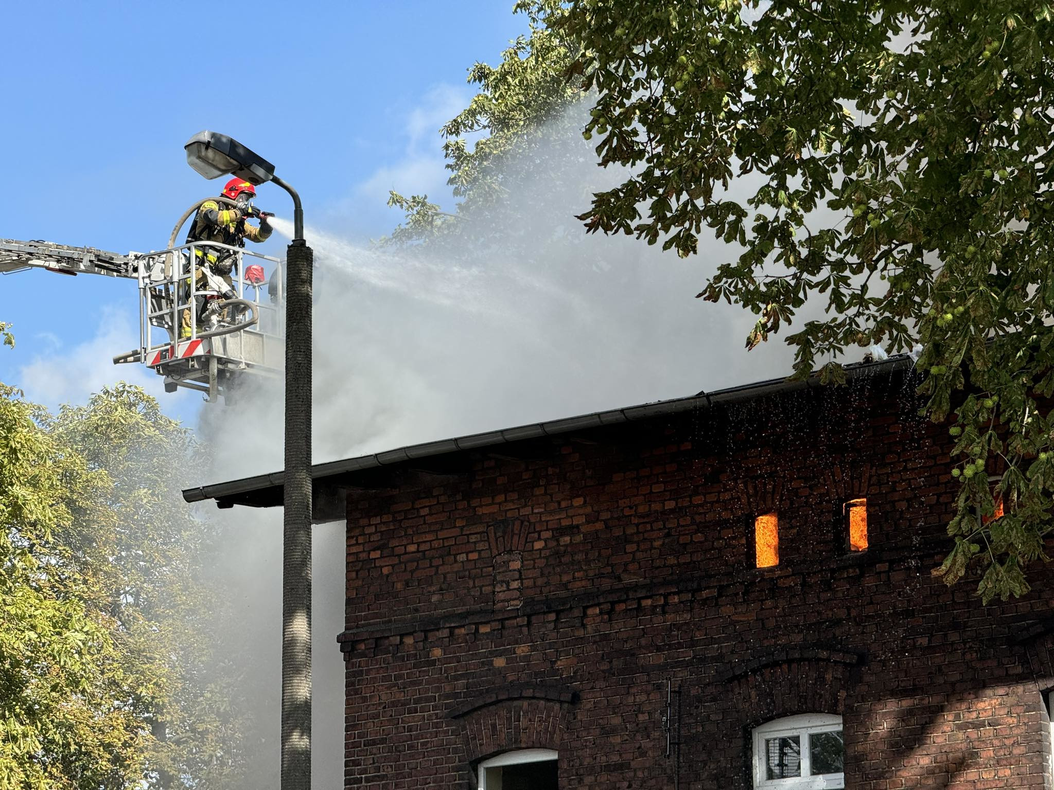 452843460_967219908486483_835799314548575336_n