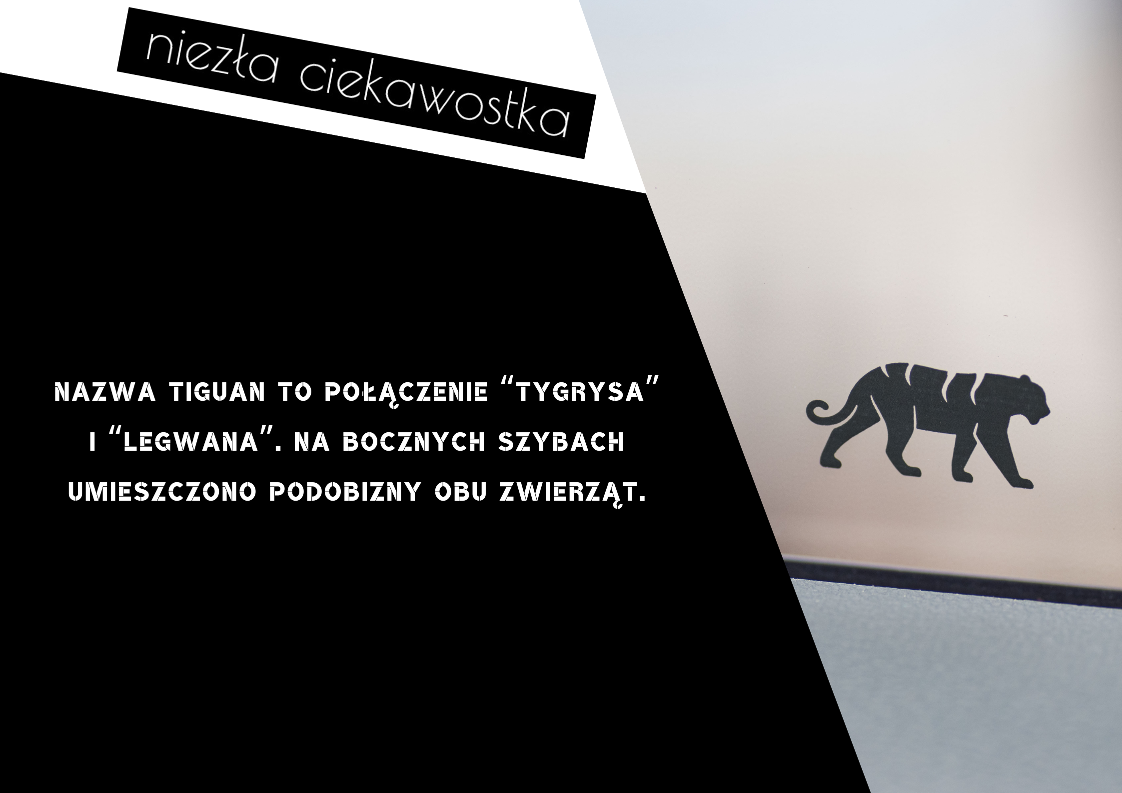 Kopia – Kopia – Kopia – Kopia – Kopia Kopia niezla ciekawostka