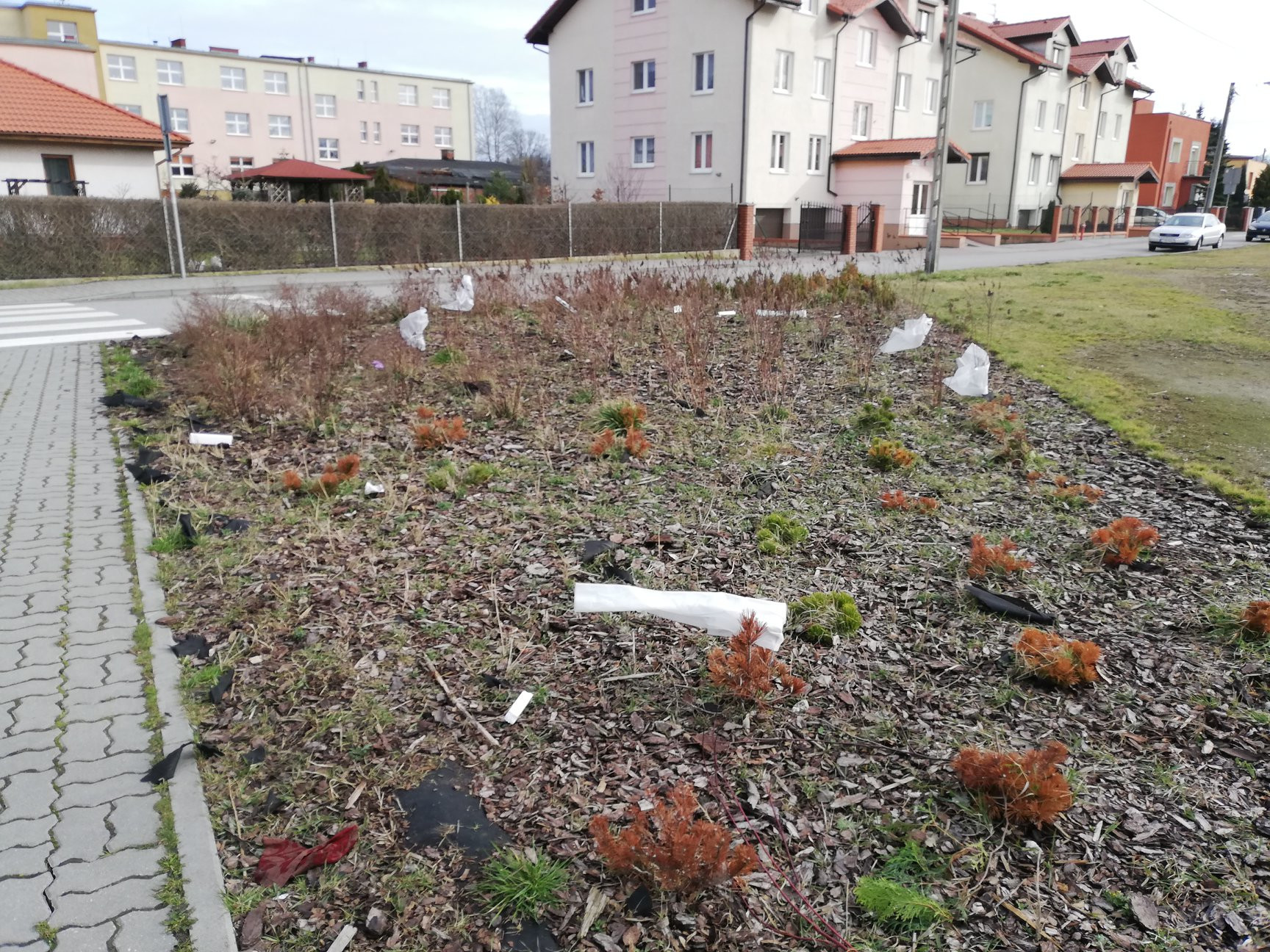 59211550_821016748291405_7792215537131454464_o (1)