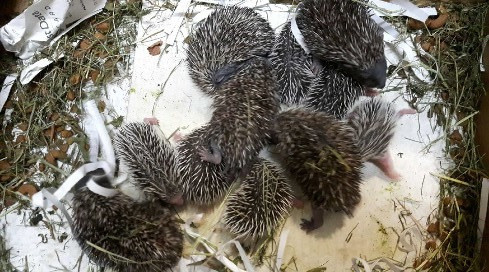 61660046_416114065907905_1381728572971941888_n