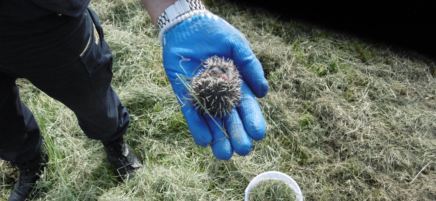 62171331_416114119241233_5557160314874626048_o