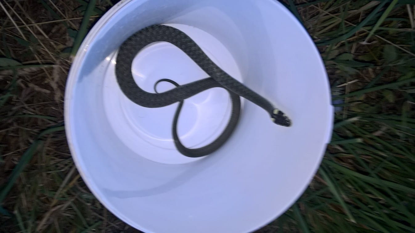 65502074_430947177757927_7910922351519203328_o