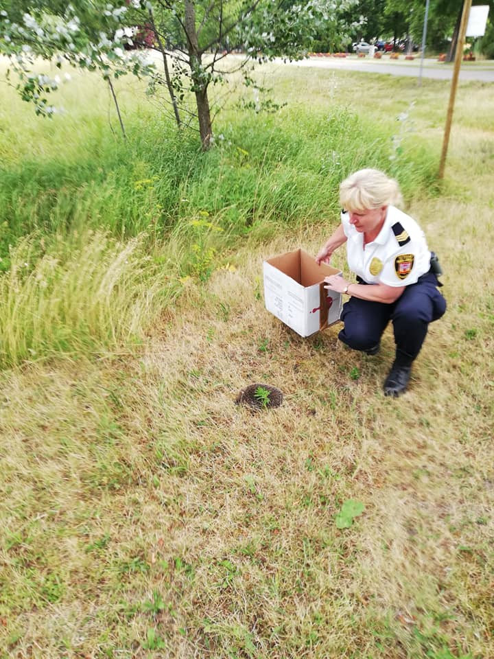 65886702_436256747226970_7093210284017319936_n