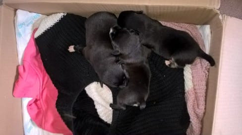 67611162_454932248692753_8945074859201789952_n