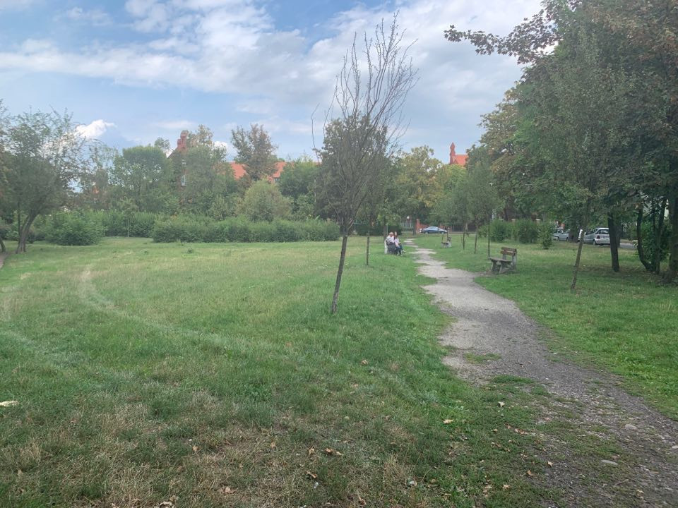 68927598_2265630936895825_1736020781701267456_n