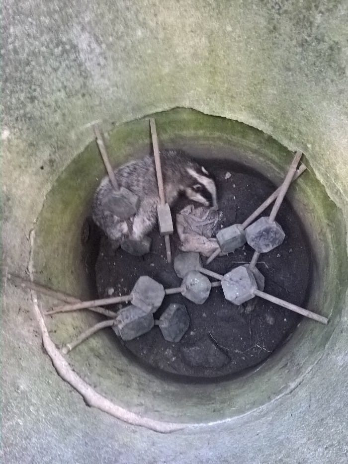 69372169_469412673911377_5105822787516235776_n