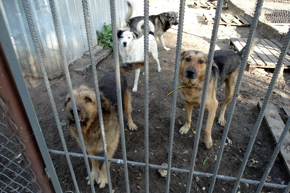 70312044_2356485767737892_5136457651072270336_n