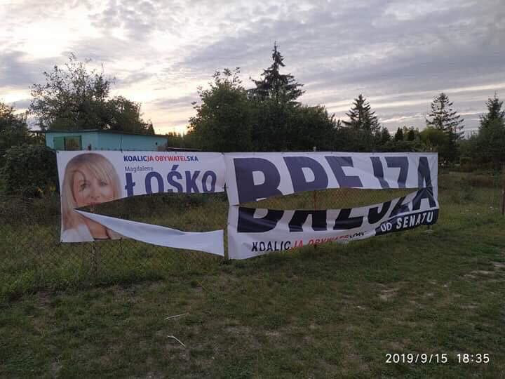 70933390_1280536802127130_4034408268854984704_n