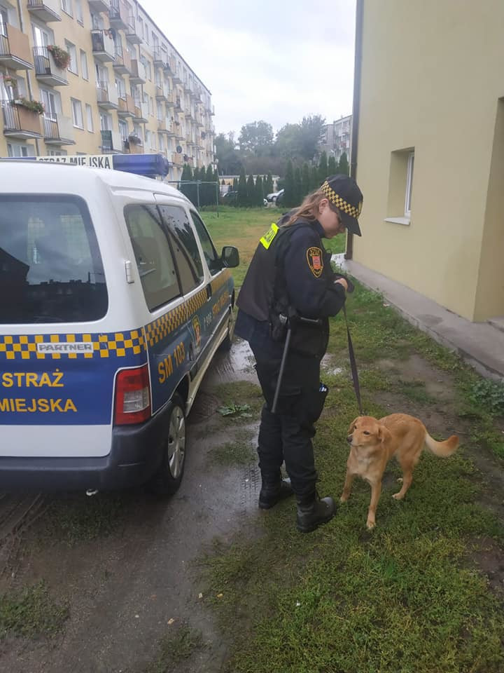 71702749_490877145098263_5985023423598821376_n