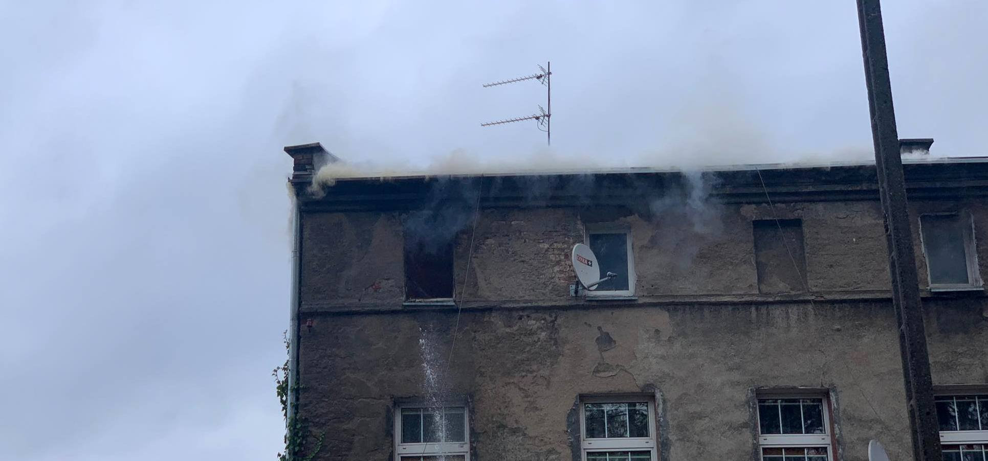 74638388_411424026464496_2125933305994936320_n