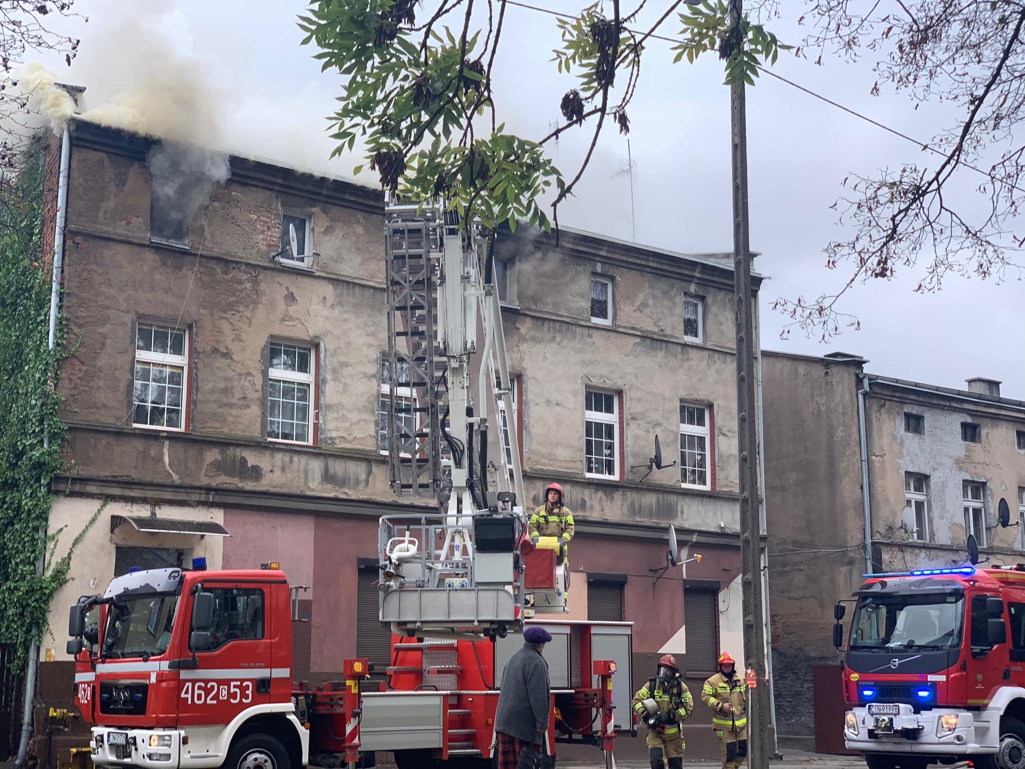 73358318_2342288172566498_5454517219339796480_n