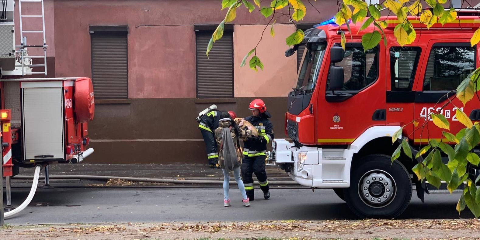 73202869_411767046177246_913027914469998592_n