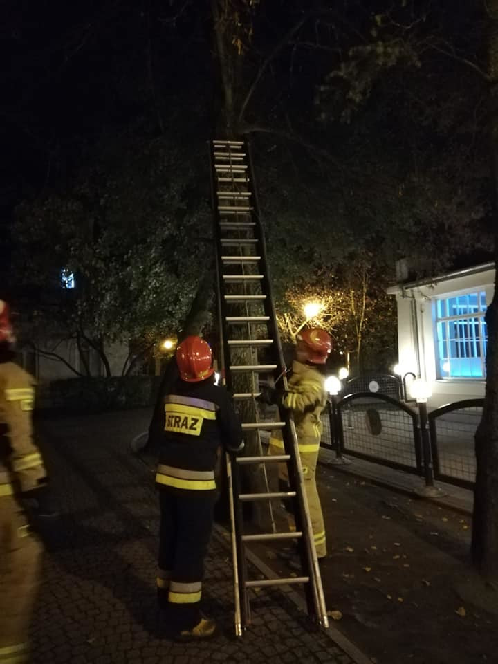 75014414_518835562302421_5375573920848019456_n