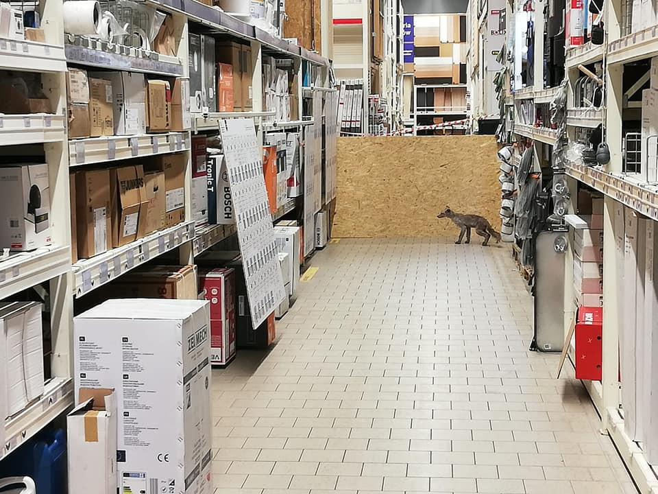 75580372_535834187269225_8793095895244603392_n