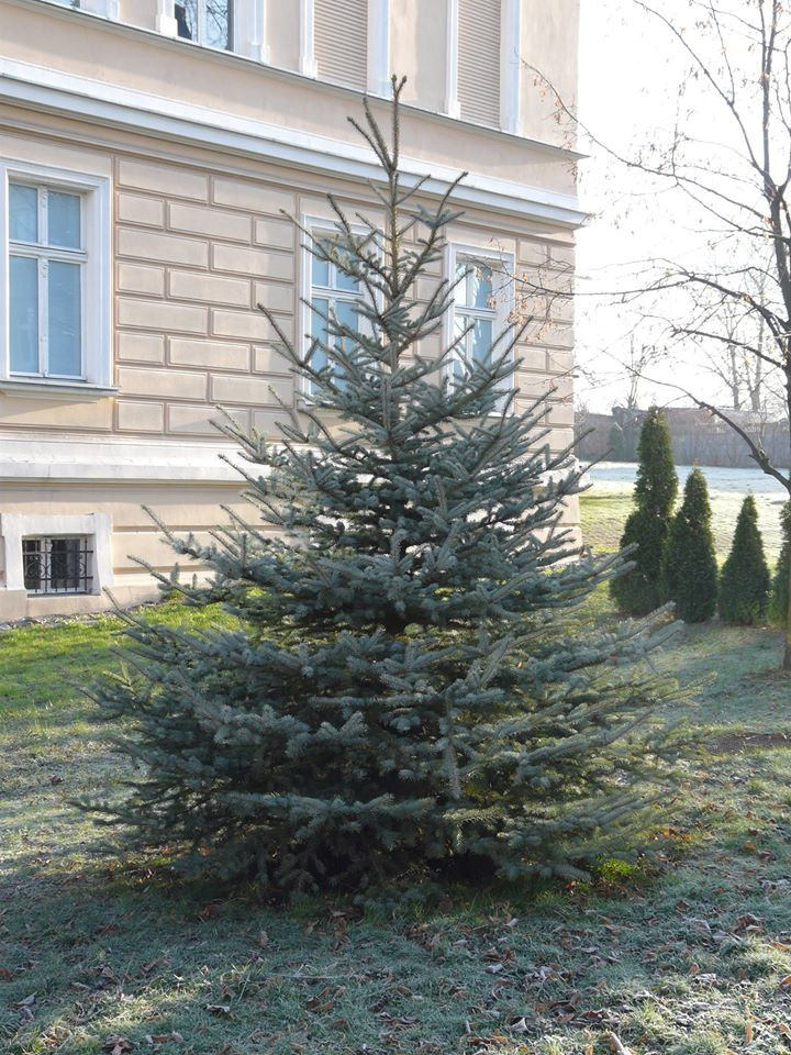 78926117_166690328065316_6650700202942398464_o