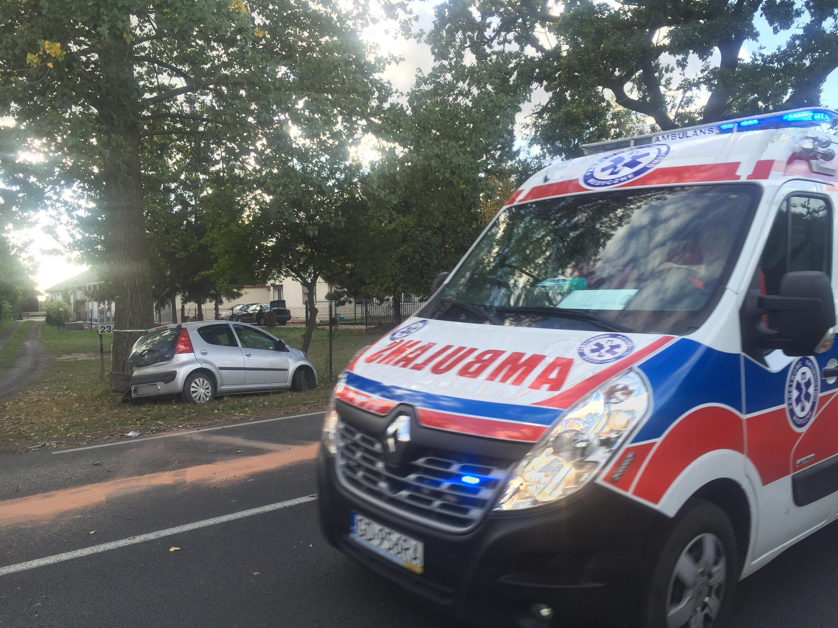 41869159_1503974836413490_542705637956517888_n (1)