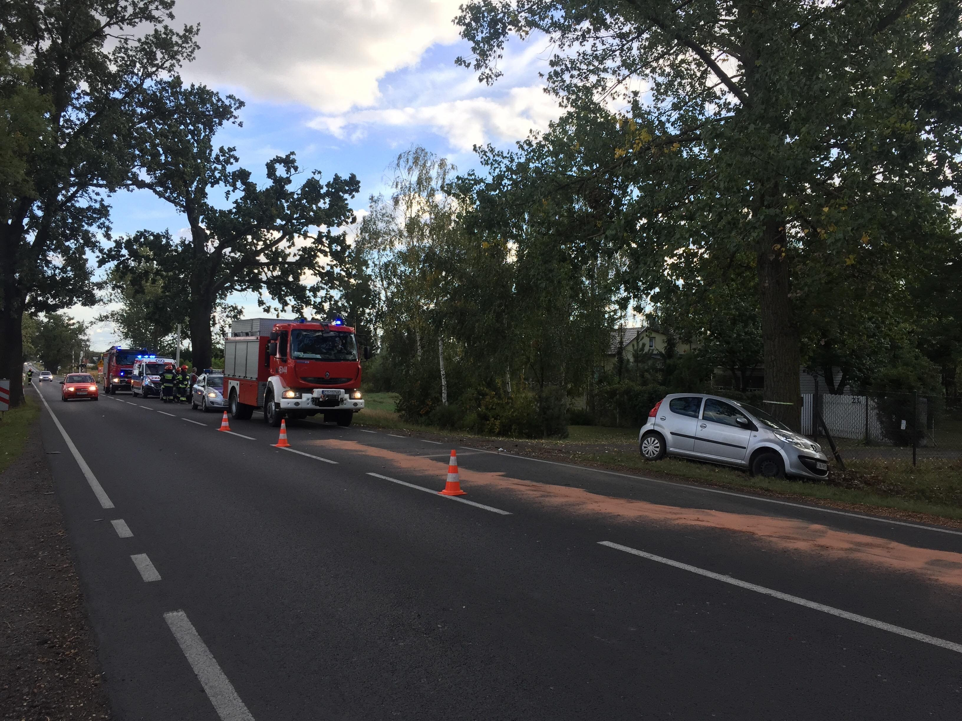 41911493_435528250187361_5810140167851212800_n (1)