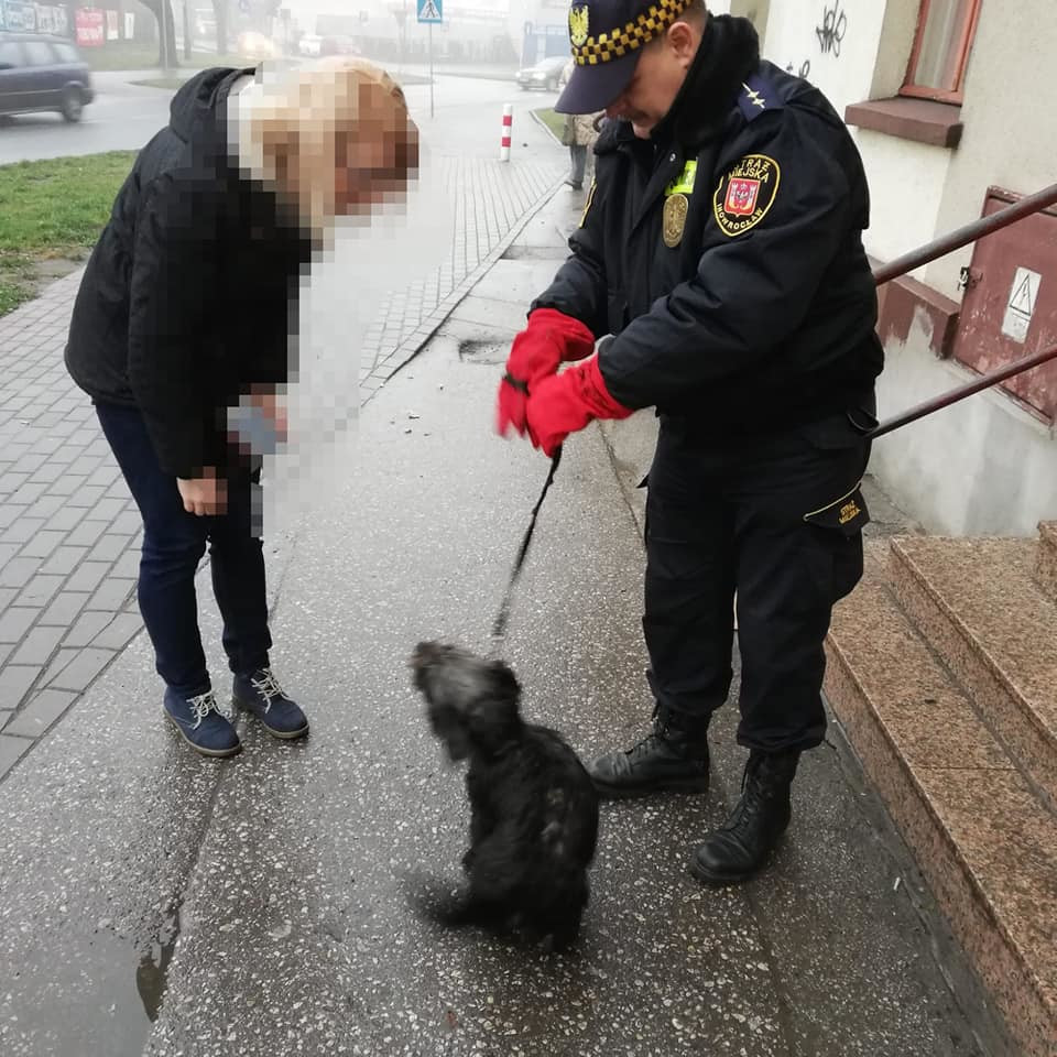 82347377_573838546802122_5957326936148541440_n