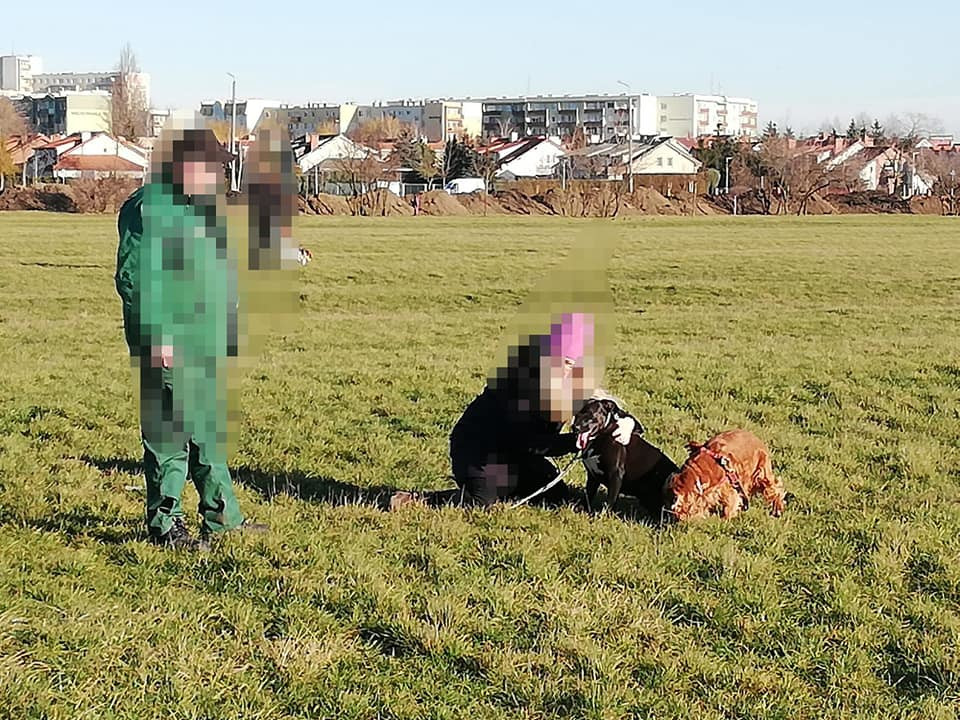 82905820_583754949143815_3695403201646821376_n