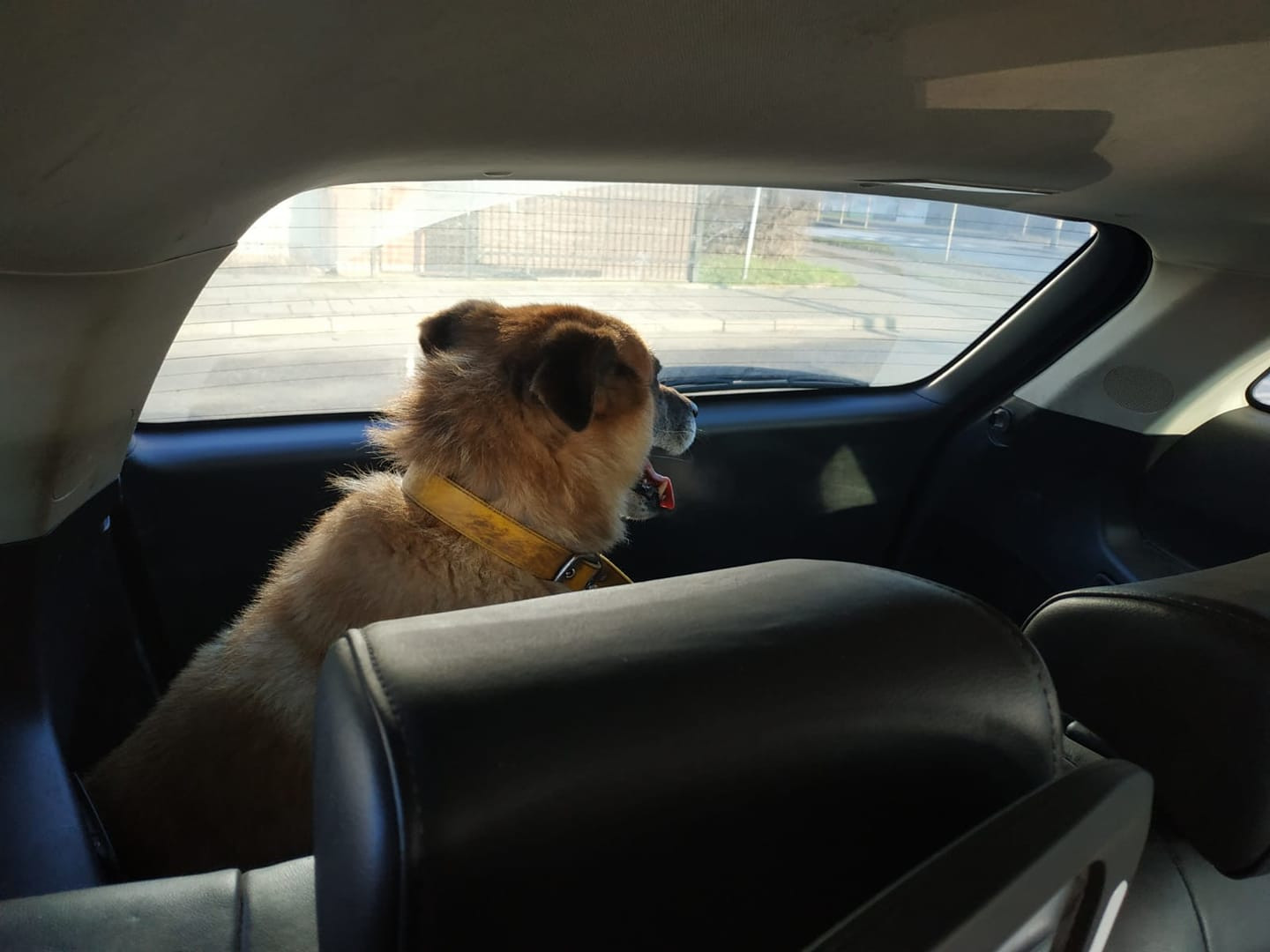 82221568_580552922797351_3205087639191420928_o