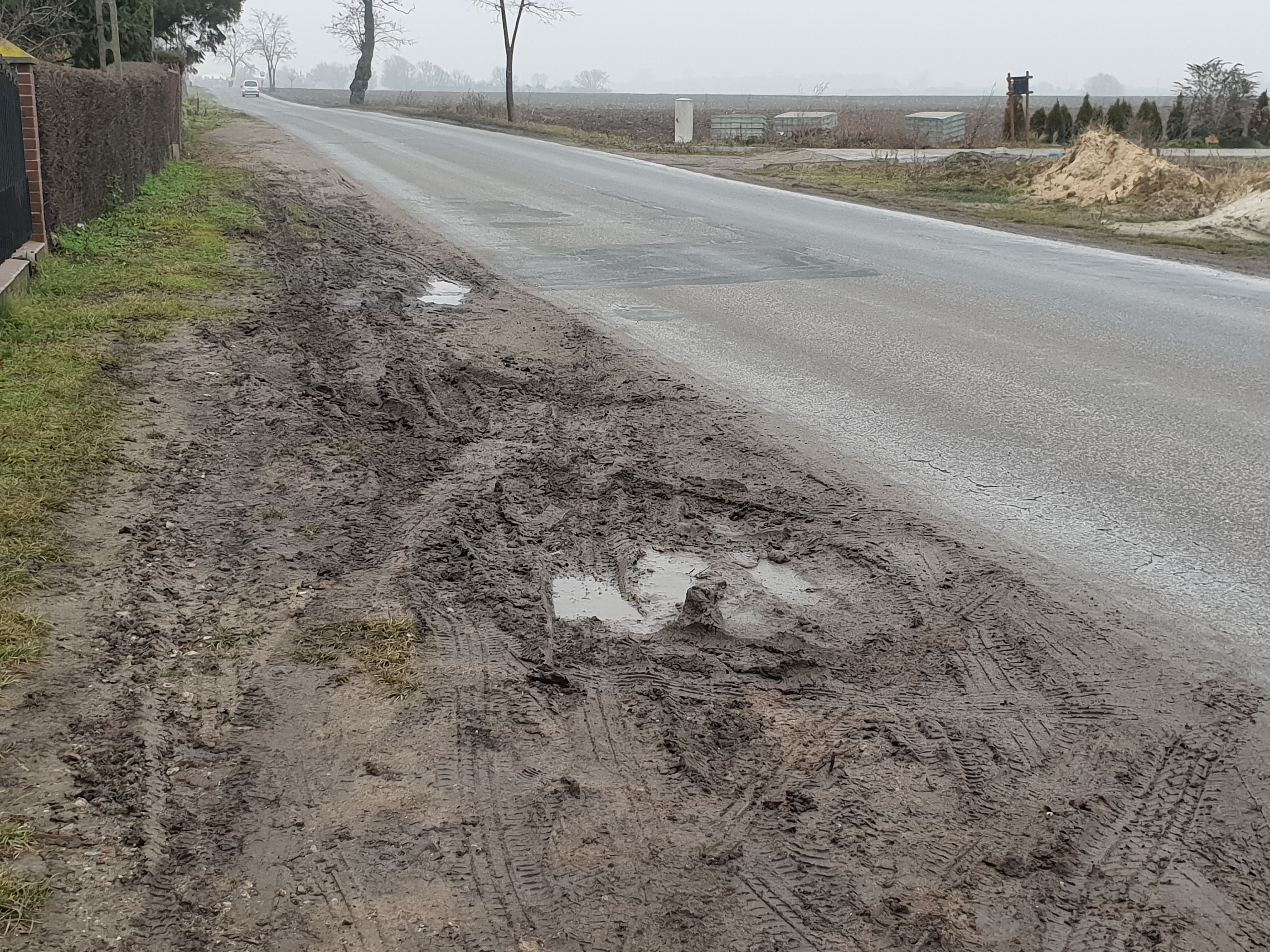 84476261_467159877280128_1861300798722408448_n